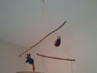 2014-07-20 17.37.25  A gorgeous felt puppet mobile handmade by Nikki and Austin!